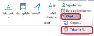 Skjermdump av hvordan du limer inn Tekst fra fil i Word